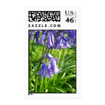 Blue bell flowers postage