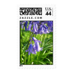 flowers, blue, bells, spring, summer, season,