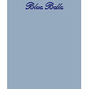 Blue Belle - shirt