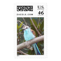 Blue-bellied Roller, ©2006, KAS postage