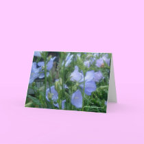 Blue bells calling cards
