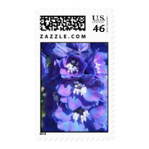Blue Bells Floral US Wedding Postage Stamp