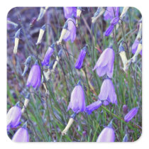Blue Bells flowers Square Stickers