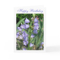 Blue Bells Happy Birthday cards