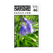 Blue bells stamps