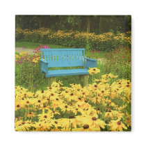 Blue bench in a field of  yellow black-eye Susans. Fridge Magnets