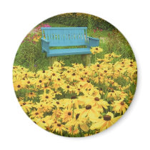 Blue bench in a field of  yellow black-eye Susans. Magnets