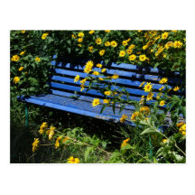 blue bench post cards