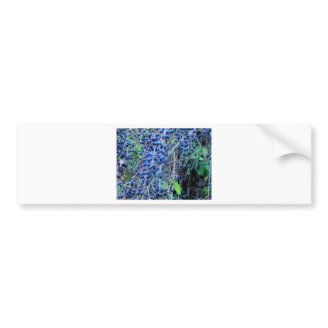 Blue Berries 2 Bumper Sticker