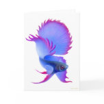 Blue Betta Fish Greeting Card