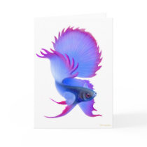 Blue Betta Fish Greeting Card