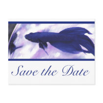 Blue Betta Fish Save The Date Postcards
