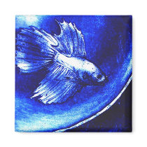 blue betta magnet
