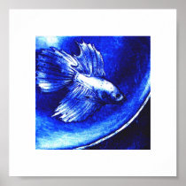 Blue Betta Poster