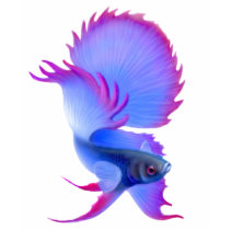 Blue Betta Splendens Ladies Babydoll t-shirts