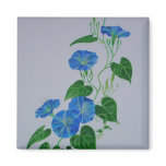 Blue Bindweed Refrigerator Magnet Blue Bindweed Refrigerator Magnet