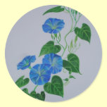 Blue Bindweed stickers