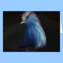 BLUE BIRD cards