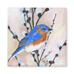blue bird fridge magnets