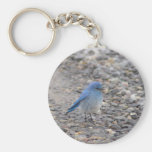 Blue bird keychains