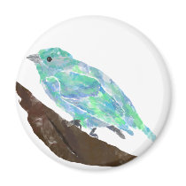 Blue Bird magnets