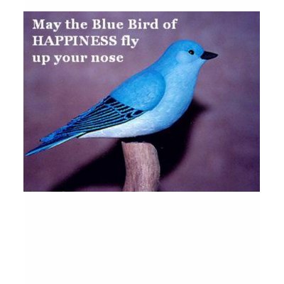 Blue Bird of Happiness Tshirt by AmandaD82