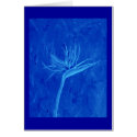 Blue Bird of Paradise cards by rippleart Blue Bird of Paradise cards