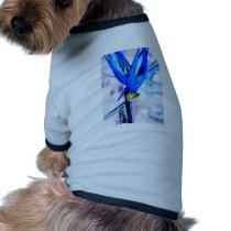 Blue Bird of Paradise Dog Clothes
