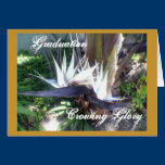 Blue Bird of ParadiseGraduation Card cards