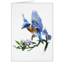 blue bird on branch cards