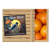 Blue Bird Oranges posters