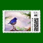 Blue Bird postage