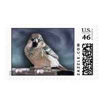 Blue Bird Postage postage by sruhs Blue Bird Postage postage