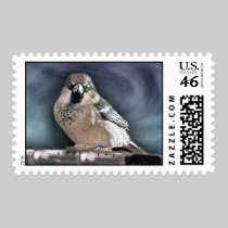 Blue Bird Postage stamps