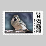 Blue Bird Postage postage