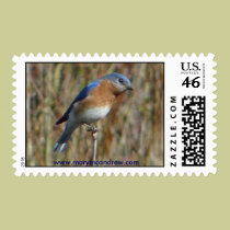Blue Bird postage