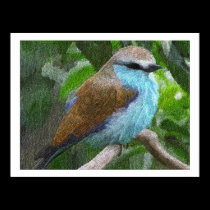 Blue Bird Prints & Posters