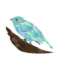 Blue Bird t-shirts