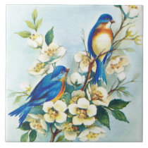 Blue Birds & White Flower Blossoms on Tile