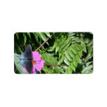 Blue black butterfly on purple flower, green leaf custom address labels