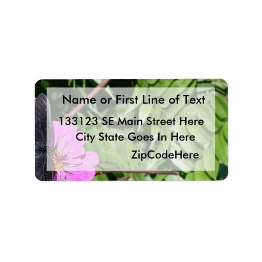 Blue black butterfly on purple flower, green leaf address label