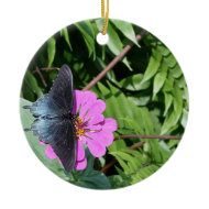 Blue black butterfly on purple flower, green leaf ornament