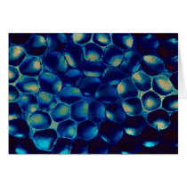 Blue blob cluster card