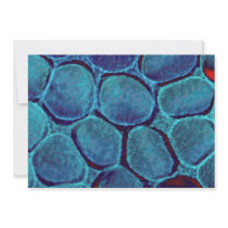 Blue blob cluster invitation