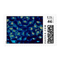 Blue blob cluster stamps