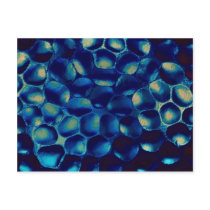 Blue blob cluster postcards