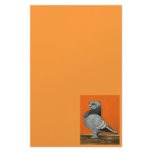 Blue Blondinette Pigeon Customized Stationery
