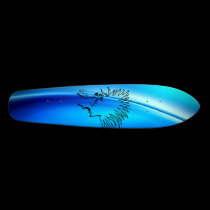 Blue Board skateboards