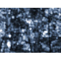 Blue Bokeh