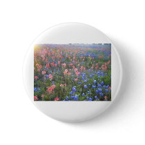 Blue Bonnets and Indian Paint Brushes Button